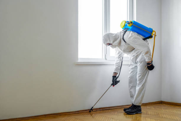 Best Pest Prevention Services  in Preakness, NJ